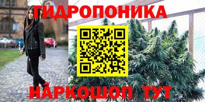 прущие крисы Янаул
