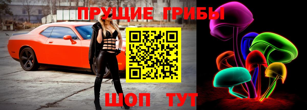 Псилоцибиновые грибы GOLDEN TEACHER  Вход с VPN  Псилоцибиновые грибы ЛСД  наркошоп  Борисоглебск 